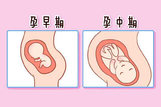 2024重庆供卵试管包生男孩医院排名！附供卵费用参考！